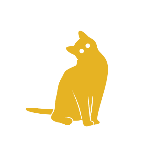 Gold cat sitting, head tilted