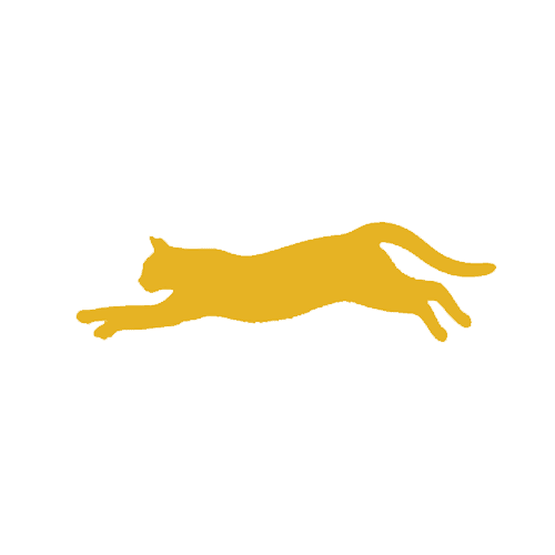 Gold cat mid-leap